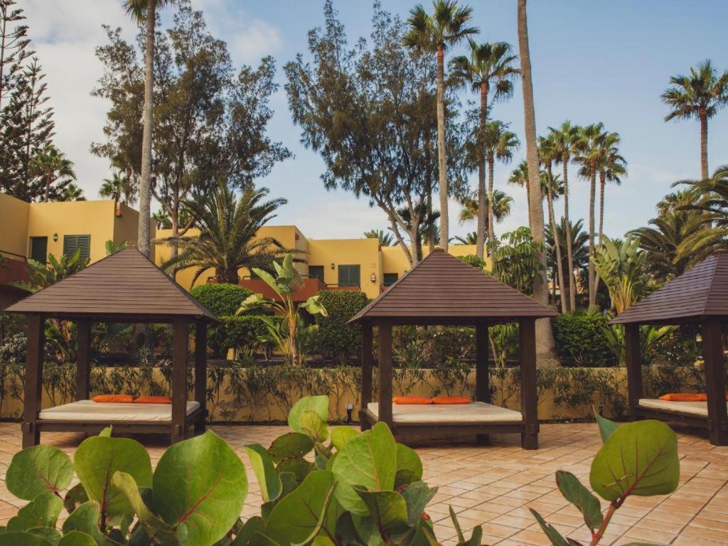 Pachi Beach Atlantic Garden Corralejo Luaran gambar