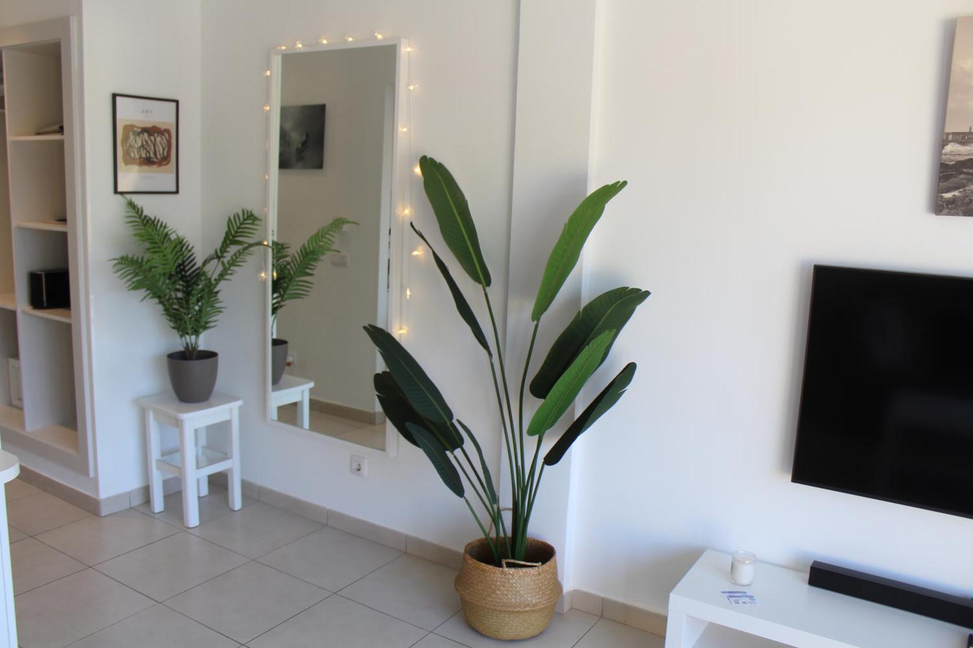 Pachi Beach Atlantic Garden Corralejo Luaran gambar